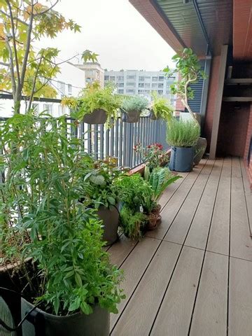 陽台景觀植物|都市小農的花園景觀設計！10種陽台專屬香草與多肉植。